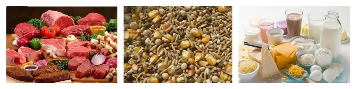 product-1-1 product-1-1