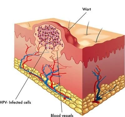 news-800-450 news-800-450