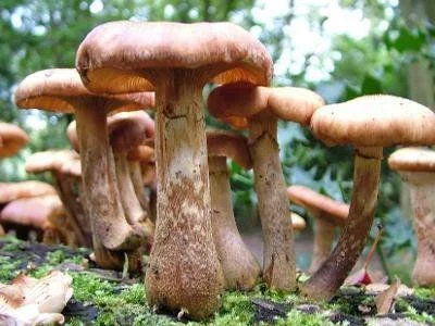 blog-400-300 blog-400-300