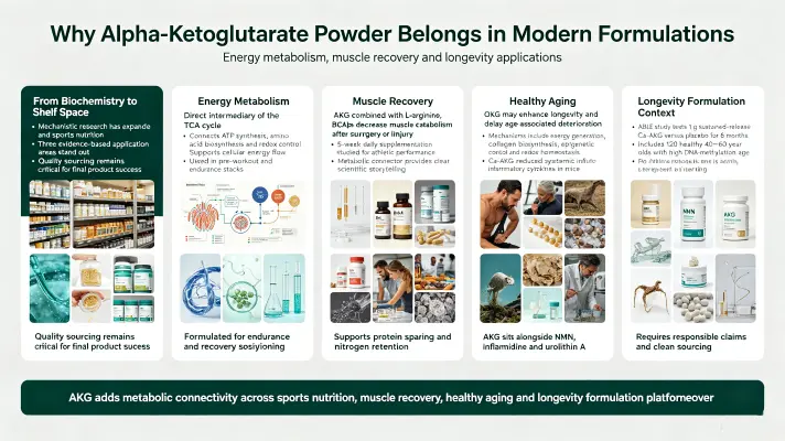 blog-1-1Why Alpha-Ketoglutarate Powder Belongs in Modern Formulations blog-1-1Why Alpha-Ketoglutarate Powder Belongs in Modern Formulations