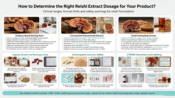 How to Determine the Right Reishi Extract Dosage for Your Product How to Determine the Right Reishi Extract Dosage for Your Product