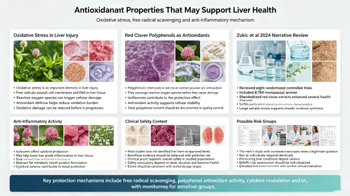 Antioxidant Properties That May Support Liver Health Antioxidant Properties That May Support Liver Health