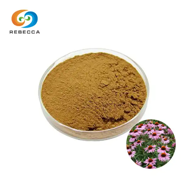 Echinacea Purpurea Herb Extract