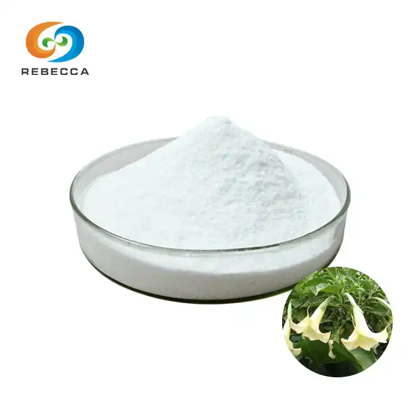 Scopolamine Hydrobromide Powder