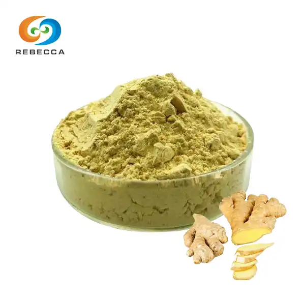 Ginger Extract Powder