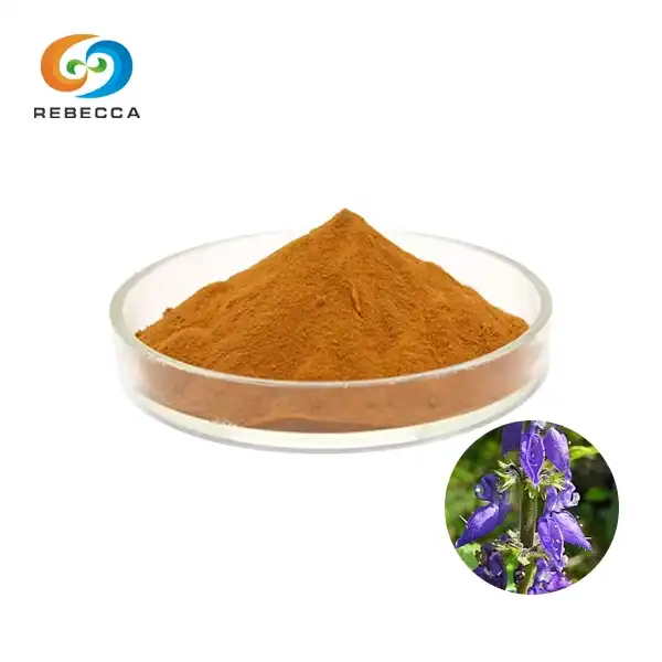 Coleus Forskohlii Extract Powder