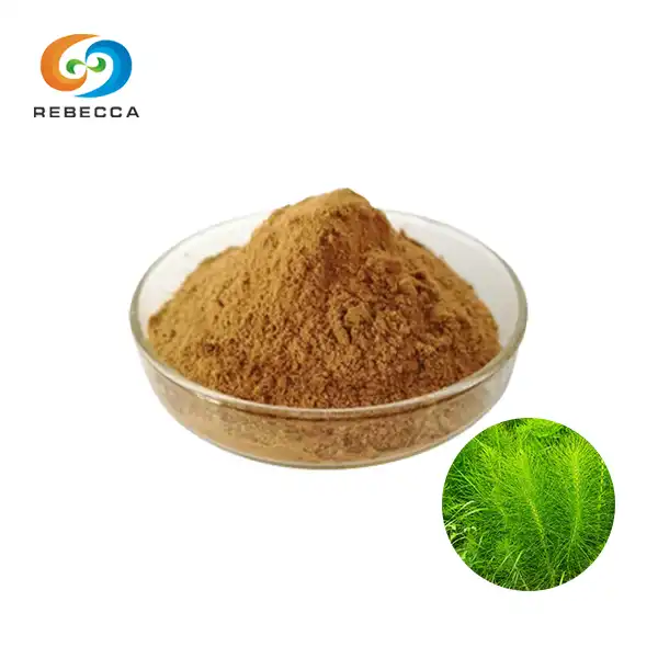 Horsetail Extract Powder