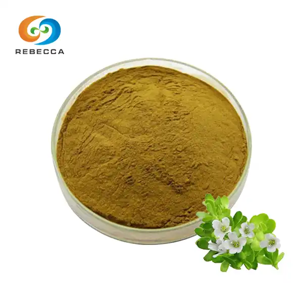 Bacopa Monnieri Extract Powder